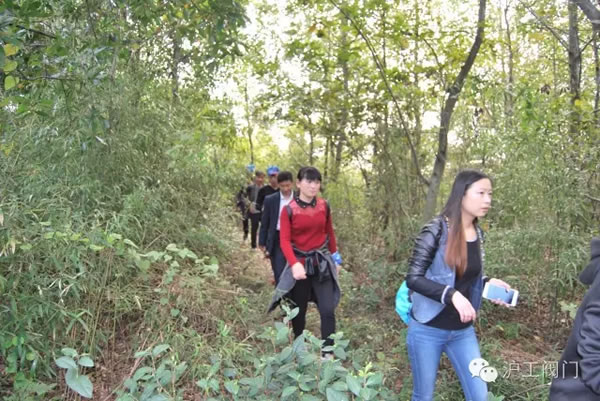 �Ϻ������y�T�S2016���＾ͽ�����л�� �D4