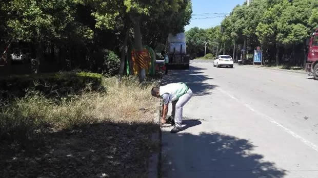 滬工閥門(mén)美麗華亭清潔家園志愿者活動(dòng)(圖2)