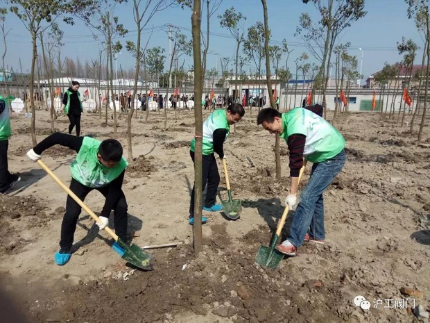 2018年上海滬工閥門廠3.12植樹節(jié)活動(dòng)(圖3)