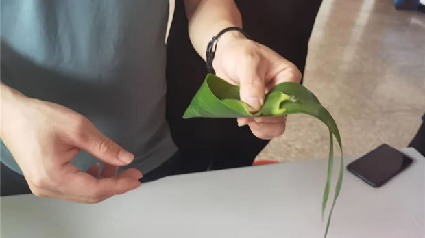 2021���Ϻ������y�T(m��n)�S���繝(ji��)�����ӻ��(d��ng)���D2��